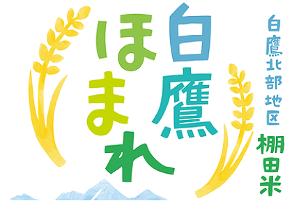 白鷹北部地区棚田米「白鷹ほまれ」