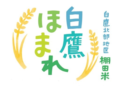 白鷹北部地区棚田米